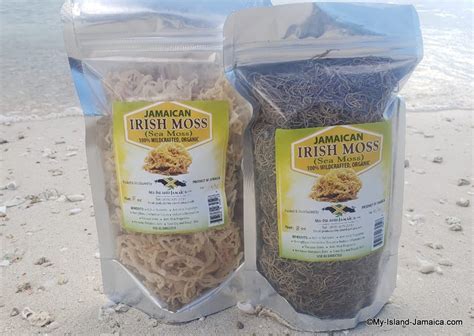 Jamaican Sea Moss 100 Organic Raw Irish Moss Free Etsy