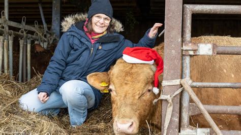 Land Lecker Im Advent Weihnachts Roulade Und Quittenbrot Land Und