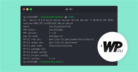 A Beginner S Guide To WP CLI What It Is How To Use It