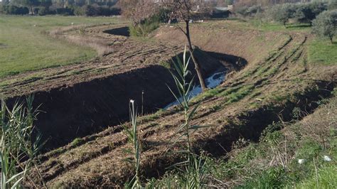 Consorzio Di Bonifica Dell Agro Pontino