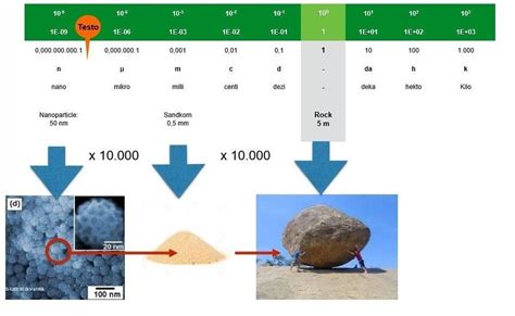 Nanoparticle Size Comparison