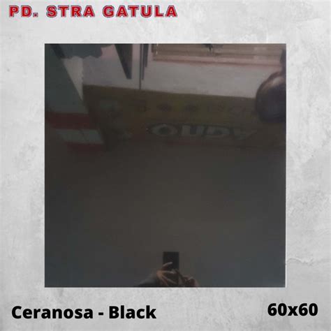 Jual Granit 60x60 Ceranosa Black Gloss Granit Dinding Granit Lantai