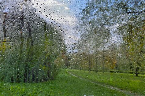 Bright Autumn Blurred Landscape After Rain Through Wet Window Glass