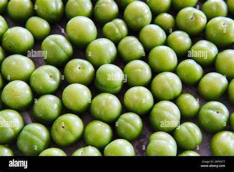 Grüne pflaumen Fotos und Bildmaterial in hoher Auflösung Alamy