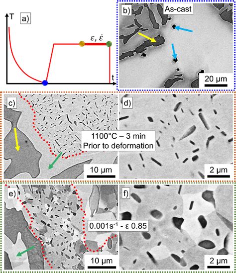 Microstructure of Alloy 1 in the a) as-cast condition; b,c) before ...