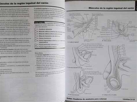 Netter Cuaderno De Anatomia Para Colorear 2 Edicion Pdf Dig S 2000 En Mercado Libre