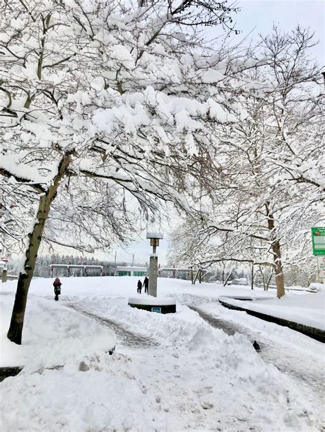 Winter en Vancouver | Estaciones del año, Estacionamiento