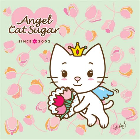 Premium Licensing & Promotions - Angel Cat Sugar