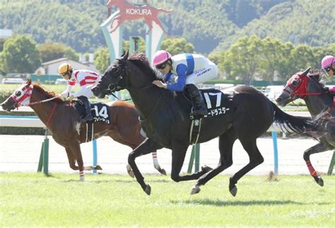 【新谷の土曜競馬コラム・北摂特別】 日刊ゲンダイ競馬