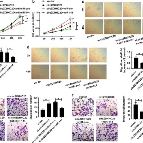 Mir Was Involved In The Regulation Of Circzdhhc On Trophoblast