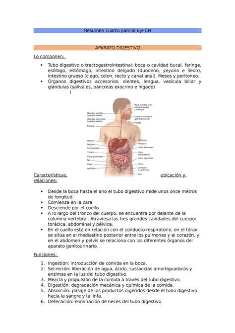 Resumen Cuarto Parcial Ey Fch Listo Resumen Cuarto Parcial Eyfch