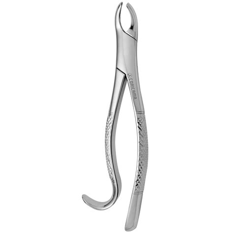 Tooth Forceps American N R Coricama Since