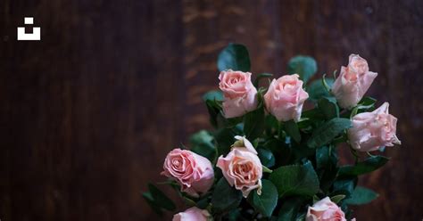 High angle photography of pink rose bouquet photo – Free Bouquet Image ...