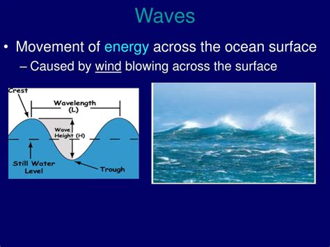 Ppt S E D Explain The Causes Of Waves Currents And Tides