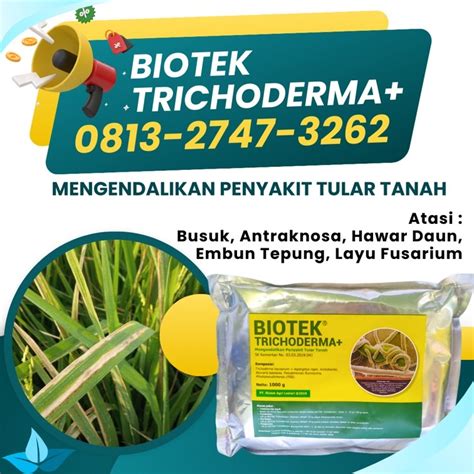 Alami Grosir Obat Fungisida Padi Aceh Tamiang Jual