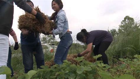 Students From Newcomer Academy Volunteer At Community Garden