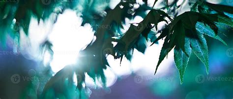 Dark Teal Aesthetic Desktop Wallpapers - Wallpaper Cave