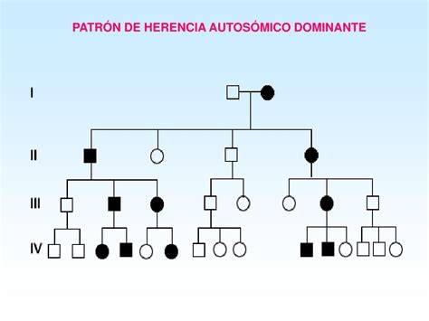 PPT PATRONES DE HERENCIA MONOGÉNICA PowerPoint Presentation free