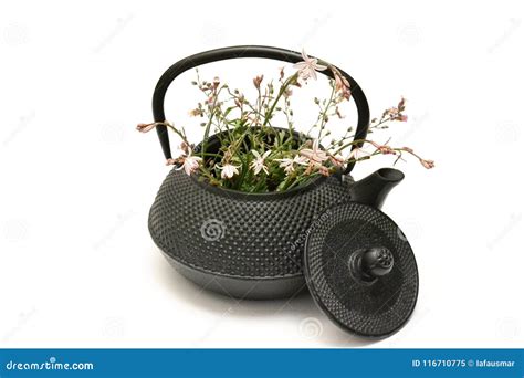 White And Pink Fresh Flowers In A Black Tea Pot With Lid. Vintage And Rustic Tea Pot On White ...