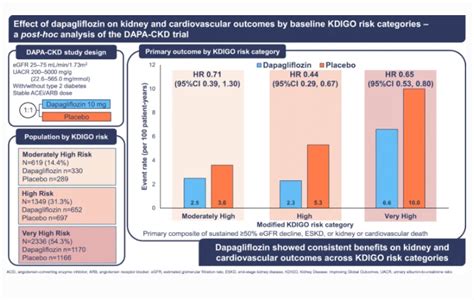 Diabetologia On Twitter Dapagliflozin Confers Kidney Protection At