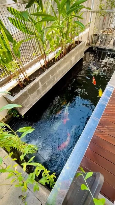 16 Model Kolam Ikan Minimalis Di Lahan Sempit Yang Bisa Menjadi Inspirasi