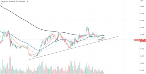 Cardano Saw Billion Ada Spike Of Whale Transactions Reasons