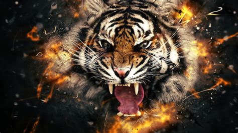 Tigre Fuego Cabeza Fondo De Pantalla Hd Wallpaperbetter