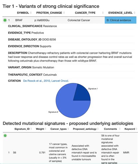 Comprehensive Clinical Report From Molecular Diagnostics In Cancer