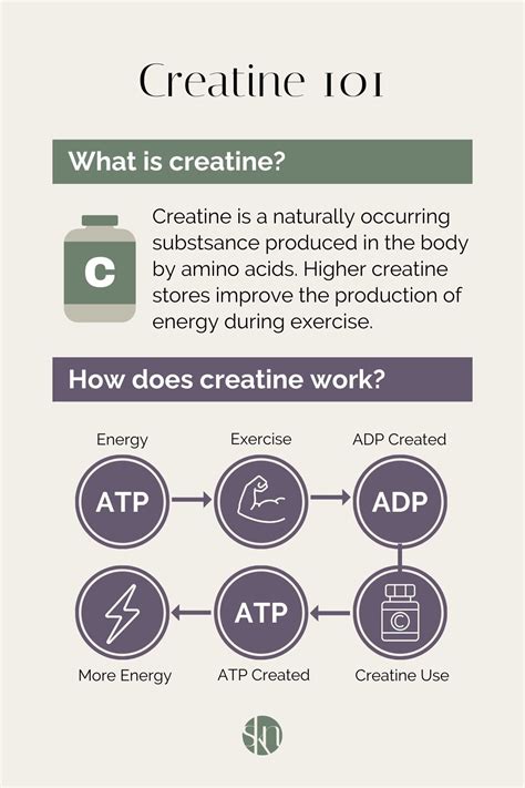 Should Women Take Creatine Stephanie Kay Nutrition