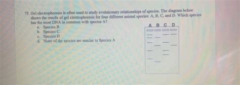 Solved Males Are More Often Affocted By Sex Linkod Chegg