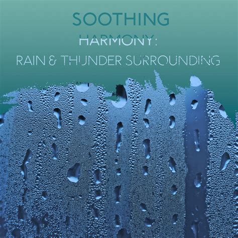 Zzz Soothing Harmony Rain Thunder Surrounding The Marsh Zzz Album