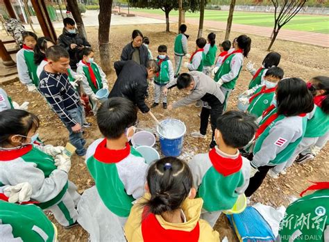 雨花区泰禹小学大队部开展“我给小树穿冬衣”主题活动 未来之星 新湖南