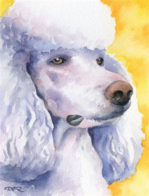 White Poodle Art Print Watercolor By Artist Dj Rogers Etsy Dog