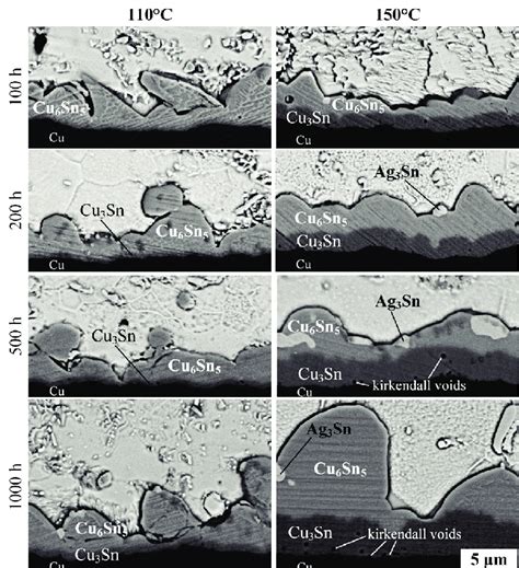 Bse Cross Sectional Images Of The Interfaces In Sac Cu Solder Joints