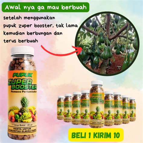 Jual PROMO Beli 1 Dapat 10 Pupuk Booster Pelebat Buah Dan Sayuran