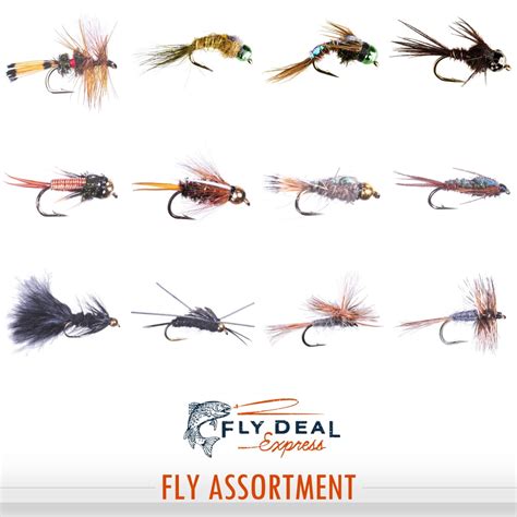 Best Fishing Flies For Trout And Steelhead During Winter