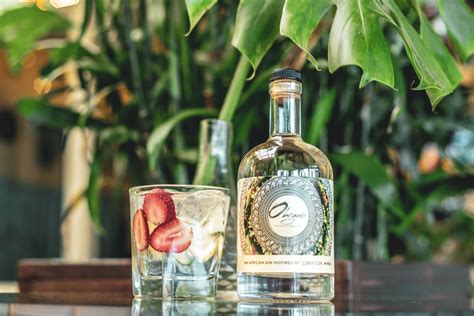 South African Gin With A Heritage Twist Yolisa Qunta Under The