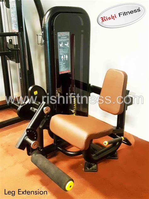 Leg Extension Machine Manufacturer, Supplier from Jodhpur