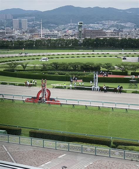 よんこーなーさんの競馬日記 阪神競馬場は曇り｜競馬予想のウマニティ