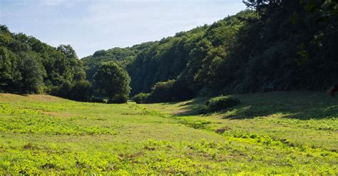 SENTIER DU BERLIQUET Saint Étienne de Montluc Estuaire et Sillon