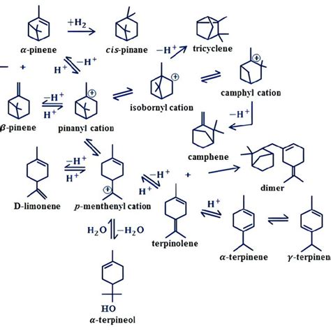 From Well To Wheel Terpene Processes Technologies And Pathways