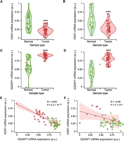 Negative Correlation Of Ksr And Iqgap Mrna Levels In Tumors A To D