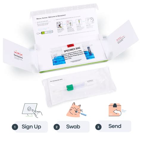 Basepaws Cat DNA Test | Breed, Health, Dental Diseases and Traits Reports