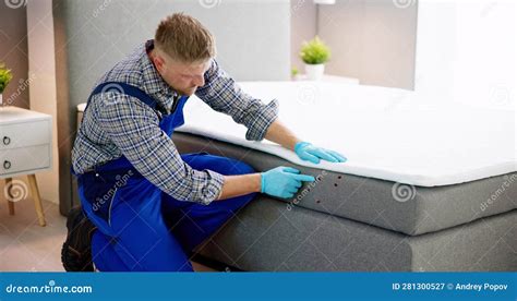 Bed Bug Infestation And Treatment Service Stock Image Image Of