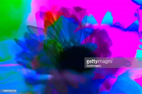 351 Vaporwave Plants Stock Photos, High-Res Pictures, and Images ...