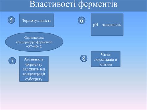 Презентація "Ферменти, їхня роль у клітині"