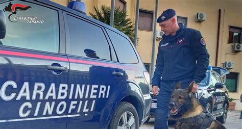 Arresti Eseguiti Dai Carabinieri Di Massafra Video Robexnews It