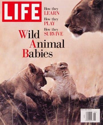 LIFE Magazine May 1995 @ Original LIFE Magazines.com, Unique Gift Idea ...