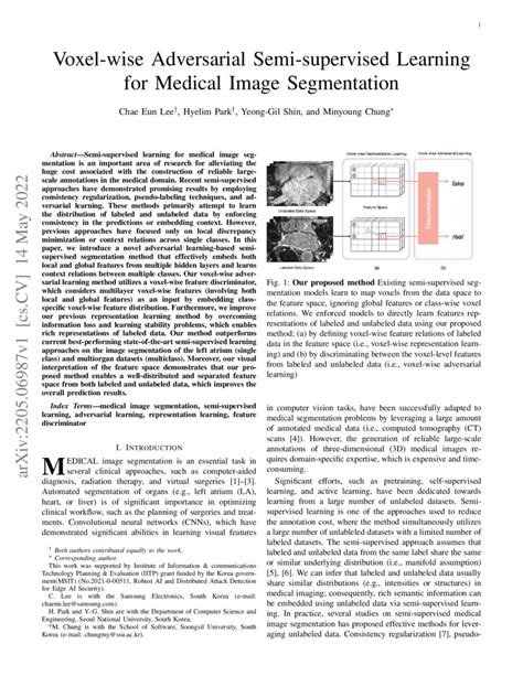 Voxel Wise Adversarial Semi Supervised Learning For Medical Image Segmentation Deepai