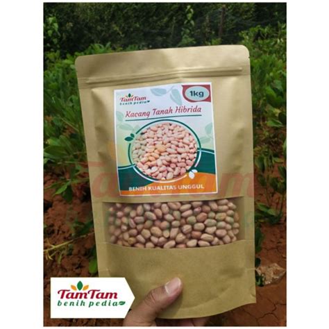 Jual Benih Kacang Tanah Jumbo Super Hibrida Varietas Gajah 1kg Shopee